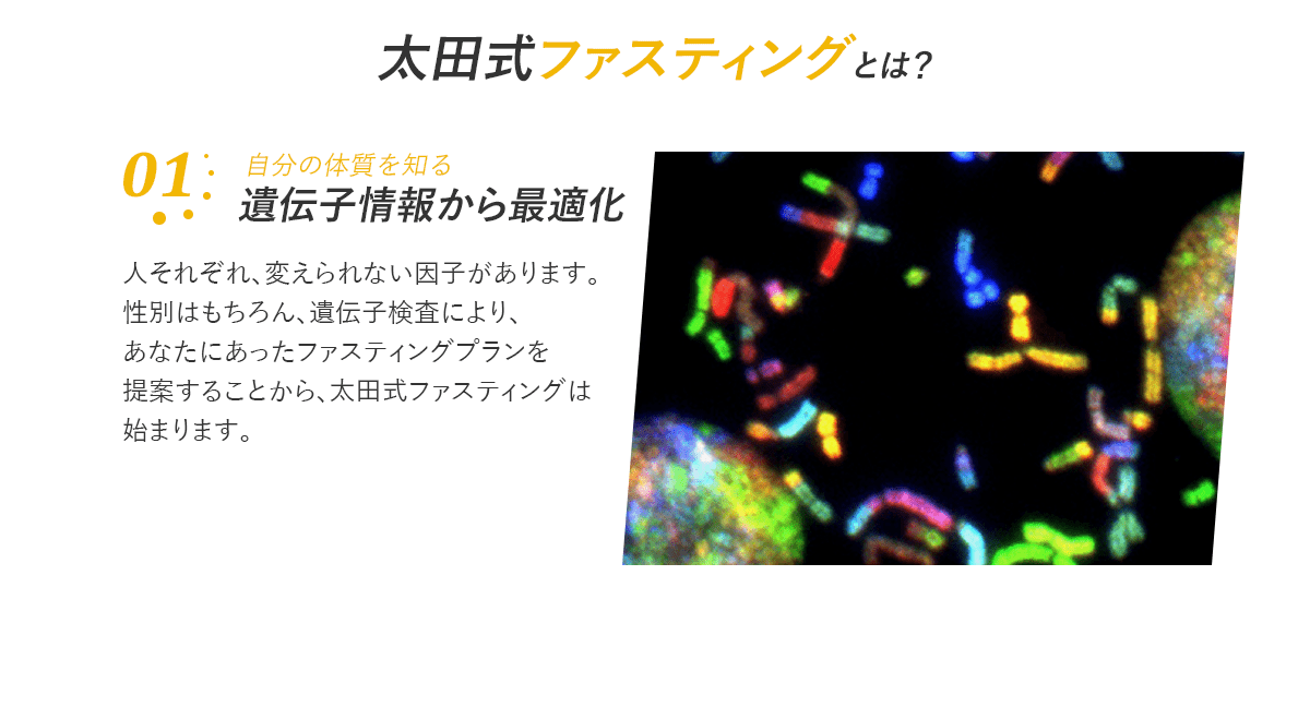 遺伝子情報から最適化