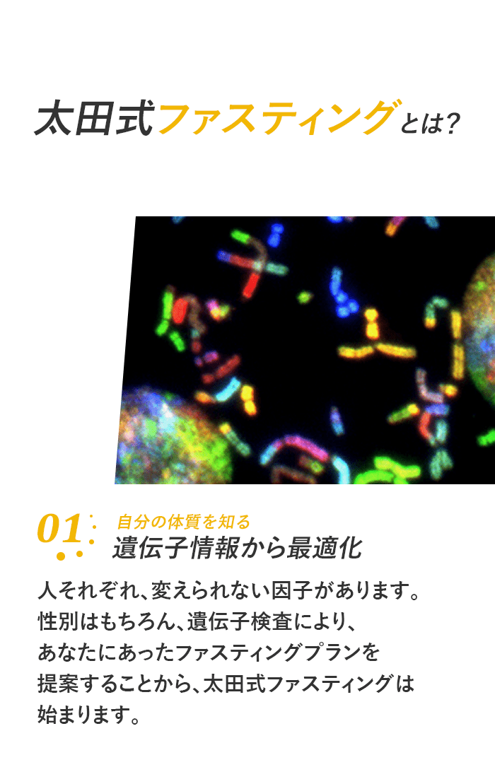 遺伝子情報から最適化